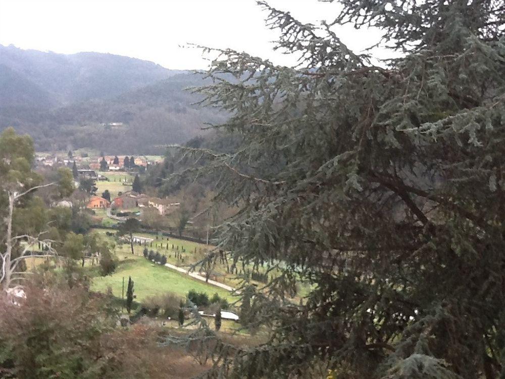 Villa Torre Degli Onesti San Martino in Freddana ภายนอก รูปภาพ